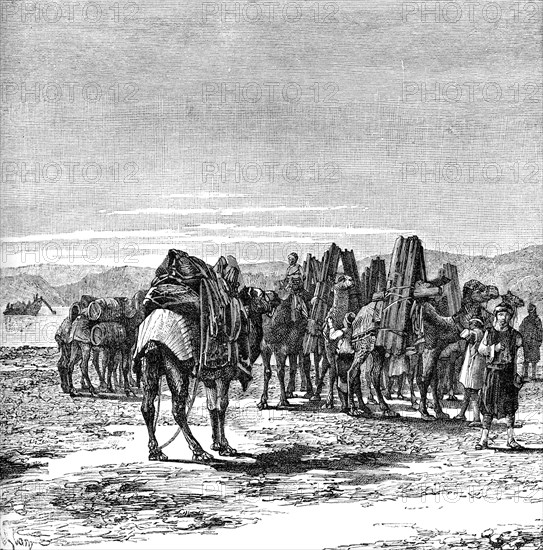 A caravan on the banks of the Euphrates, 1895. Artist: Unknown