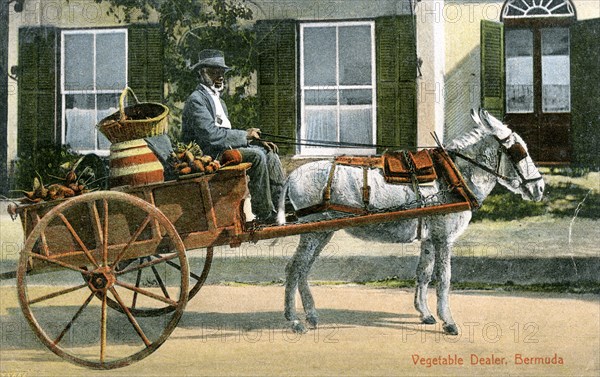 A vegetable dealer, Bermuda, c1900s. Artist: Unknown