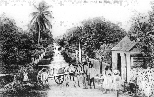 On the road to Blue Hills, Bahamas, c1900s. Artist: Unknown