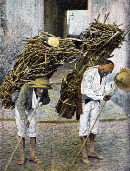 Two men carrying bundles of wood on their backs, Mexico, early 20th century. Artist: Unknown