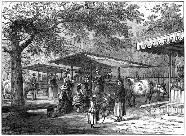 A milk fair, St James's Park, London, 1891.Artist: J Greenaway