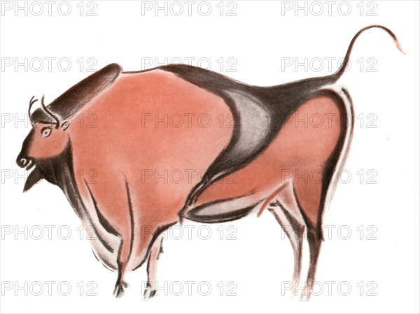 Cave painting of a bison from the Altamira cave, Spain, 1933-1934. Artist: Unknown