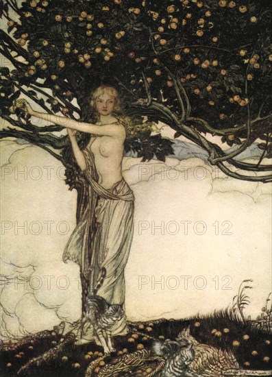 'Freia, the Fair One', c1910.Artist: Arthur Rackham