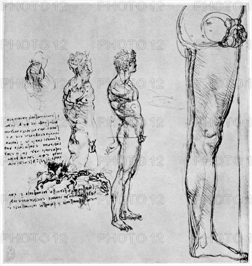 Nude studies for 'The Battle of Anghiari', c1503-1505 (1954). Artist: Leonardo da Vinci