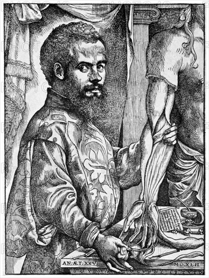 Andreas Vesalius, 16th century Flemish anatomist, 1954. Artist: Unknown