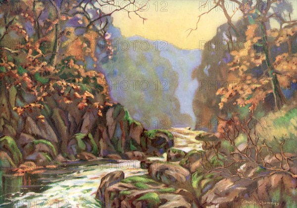 'On the Dargle, County Wicklow', Ireland, 1924-1926.Artist: Catharine Chamney