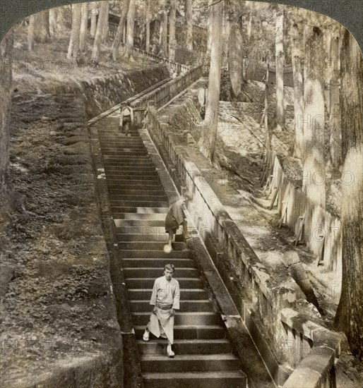 Ancient stone stairway up the hill to the tomb of Shogun Ieyasu, Nikko, Japan, 1904.Artist: Underwood & Underwood