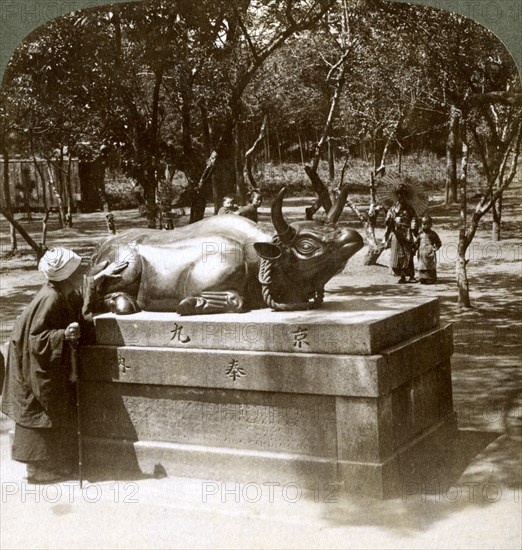 Devout woman stroking a bronze bull to cure rheumatism, Kitano Tenjin temple, Kyoto, Japan, 1904. Artist: Underwood & Underwood