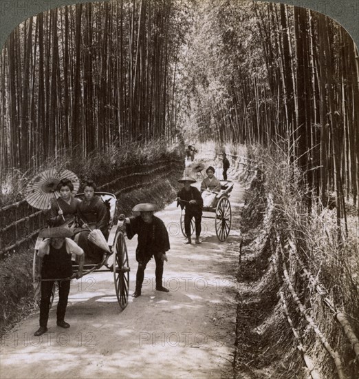 Bamboo avenue, looking south-west, near Kiyomizu, Kyoto, Japan, 1904. Artist: Underwood & Underwood