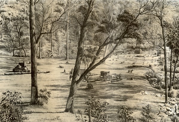 Free selector's hut, Australia, 1879. Artist: McFarlane and Erskine