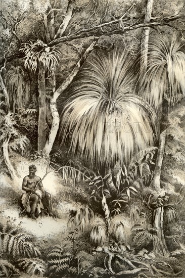 Tasmanian forest scene, 1879. Artist: McFarlane and Erskine