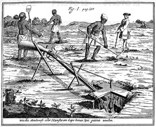 Khoikhois catching moles, South Africa, 18th century (1931). Artist: Unknown