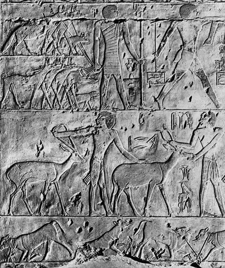 A hunting scene from the tomb of Ptahhotep, near Saqqara, Egypt, c2650 BC (1936). Artist: Unknown