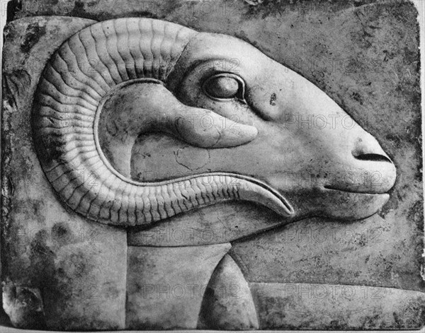 A ram's head, Egypt, 1936. Artist: Unknown