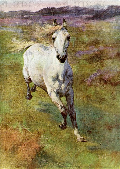 'Study from Life for 'Colt Hunting in the New Forest'', 1899. Artist: Unknown