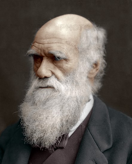 Charles Darwin, British naturalist, 1878. Artist: Unknown