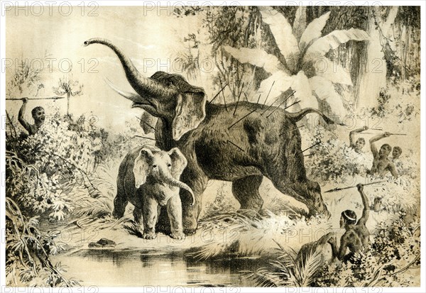 'Natives Spearing an Elephant', 1883. Artist: Unknown