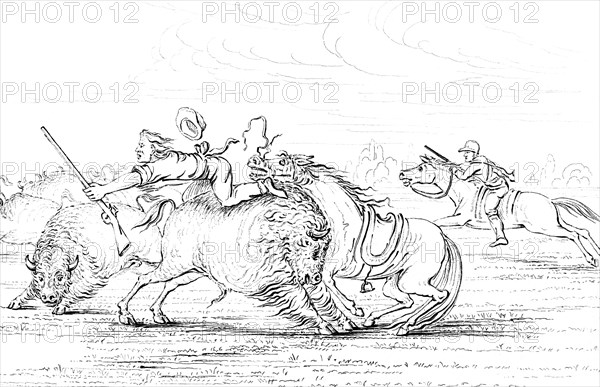 Buffalo attacking a cowboy on a horse, 1841.Artist: Myers and Co