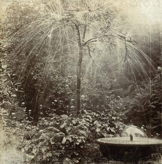 Willow Tree Fountain, Chatsworth, Derbyshire.Artist: The Fine Art Photographers Co