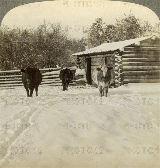 Winter on a ranch, Montana, USA.Artist: Underwood & Underwood