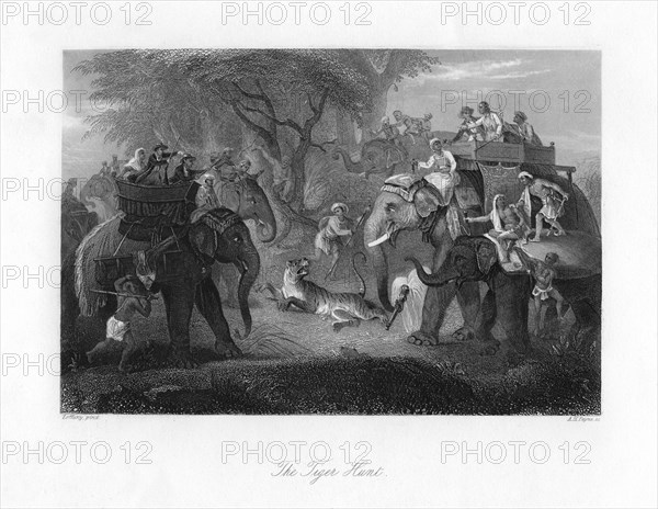 'The Tiger Hunt'. Artist: AH Payne