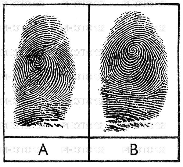 Fingerprints of identical twins, 1956. Artist: Unknown