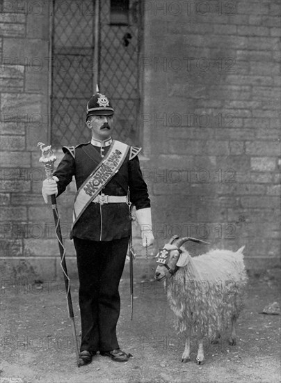 The Drum Major and goat of the 1st Battalion the Welch Regiment, 1896. Artist: WM Crockett