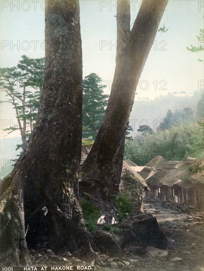 Hata at Hakone Road, Japan, early 20th century(?). Artist: Unknown