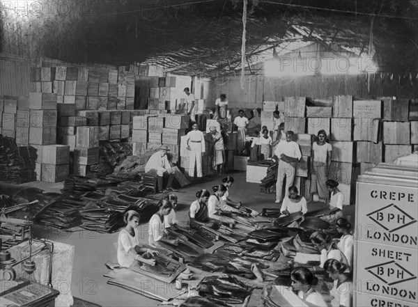 Coconut production, India, 20th century. Artist: Unknown