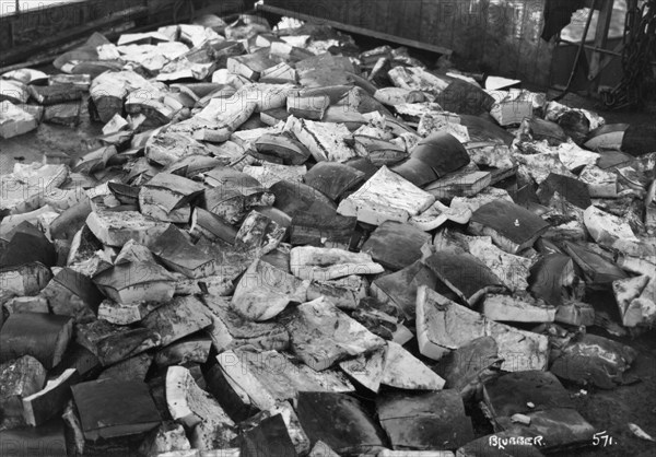 Whale blubber, Magdalene Bay, Spitzbergen, Norway, 1929. Artist: Unknown