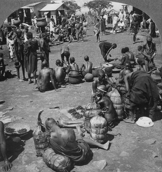 The native market at Port Florence, Lake Victoria, Kenya, c1901-c1903(?). Artist: Keystone View Company