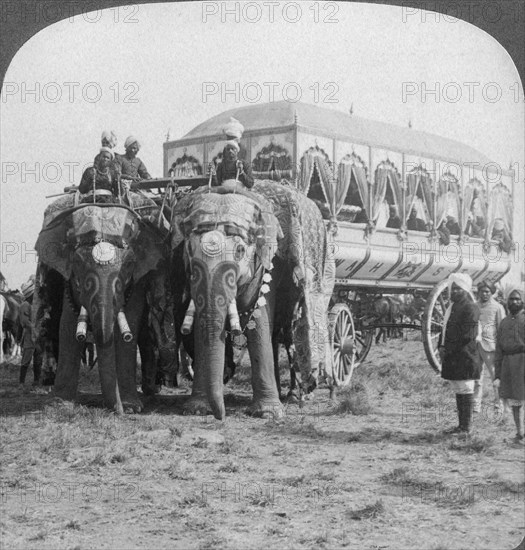 Richly adorned elephants and carriage of the Maharaja of Rewa at the Delhi Durbar, India, 1903. Artist: Underwood & Underwood