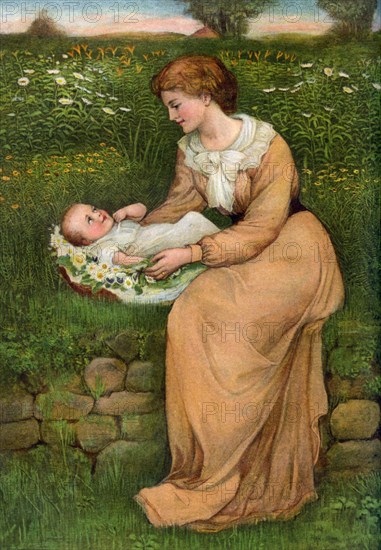 'A Bed of Daisies', 1905.  Artist: Alphage Brewer