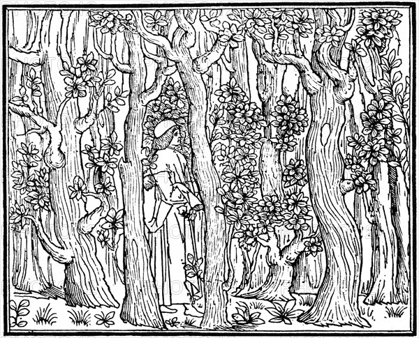 The Lover in the Wood, 1499 (1964). Artist: Anon