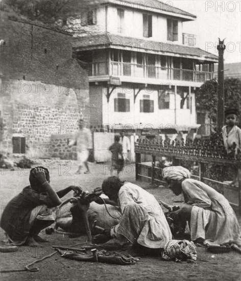 Shoeing a bullock, India, c1927-c1929. Artist: Unknown