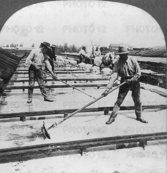 Solar evaporation, salt manufacture, Syracuse, New York, USA, 20th century. Artist: Keystone View Company