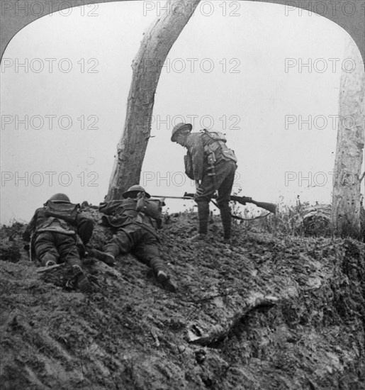 Battle of Polygon Wood, near Ypres, Flanders, Belgium, World War I, September 1917. Artist: Realistic Travels Publishers
