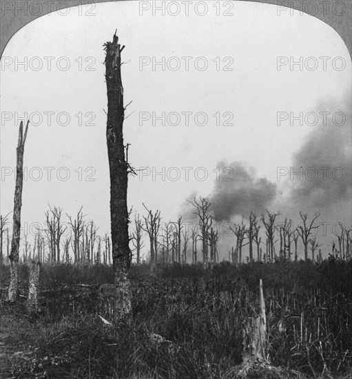 High explosive shells bursting in Mametz Wood, France, World War I, 1916. Artist: Realistic Travels Publishers