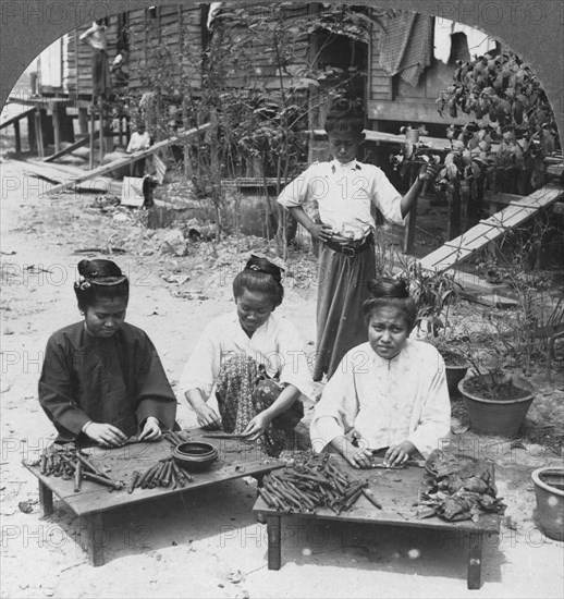 Making the huge cigars smoked by women, Burma, 1908. Artist: Stereo Travel Co