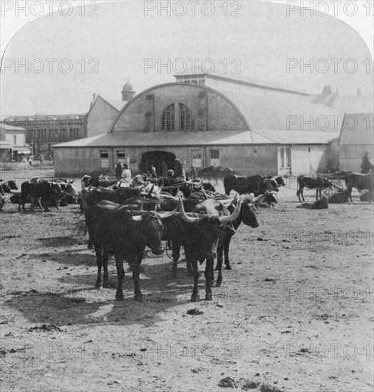 Building in which prisoners of war were tried, Pretoria, South Africa, Boer War, 1901. Artist: Underwood & Underwood