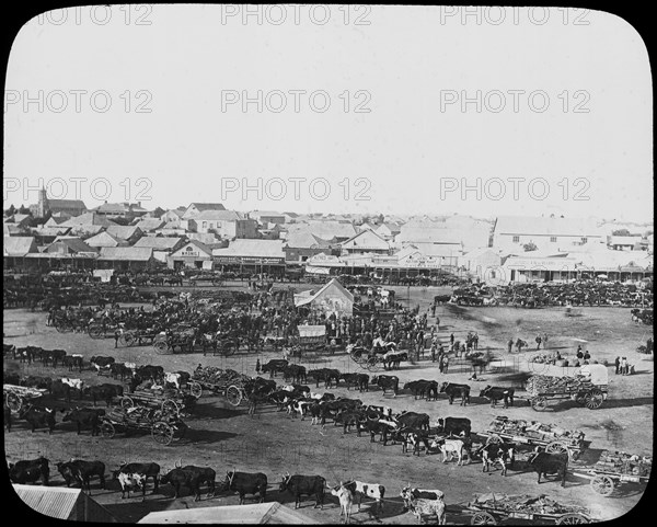 Morning market, Kimberley, South Africa, c1890. Artist: Unknown