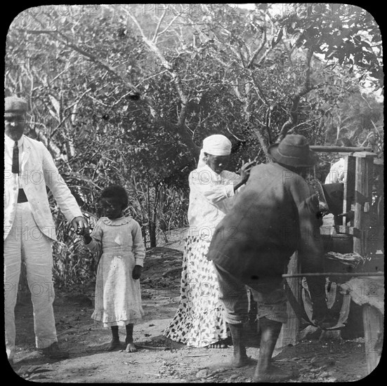 Grinding sugar cane, Brazil, late 19th or early 20th century. Artist: Unknown