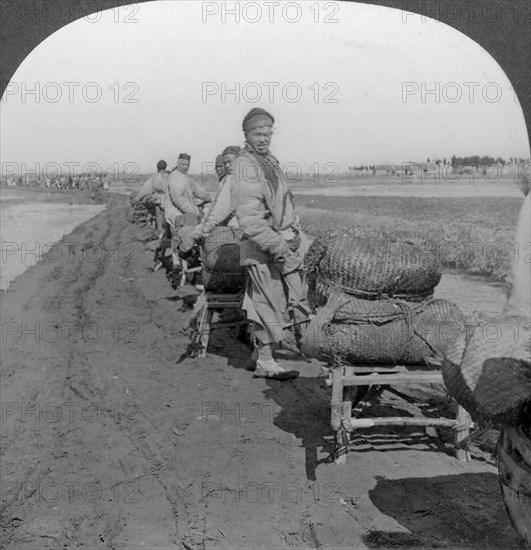 'Conveying salt to the interior by wheelbarrow train', China, 1907. Artist: Keystone View Company