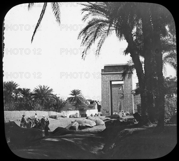 Avenue of Sphinxes, Karnak, Egypt, c1890. Artist: Newton & Co