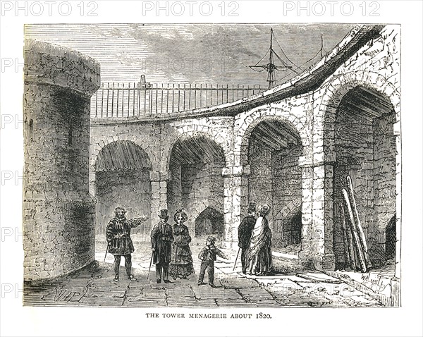 The Tower Managerie, 1878. Artist: Walter Thornbury