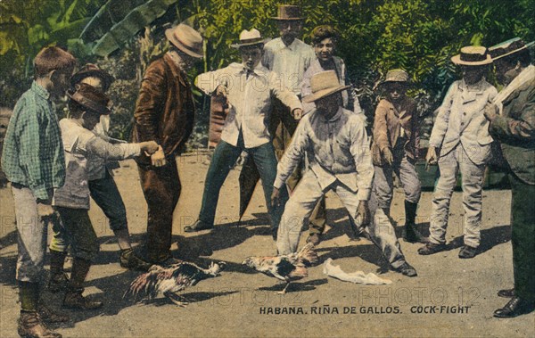 Habana. Rina de Gallos. Cock-fight, c.1900s. Artist: Unknown