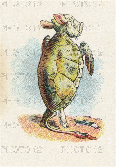 'The Mock Turtle', 1930. Artist: John Tenniel