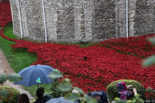 'Blood Swept Lands and Seas of Red', Tower of London, 2014.  Artist: Sheldon Marshall