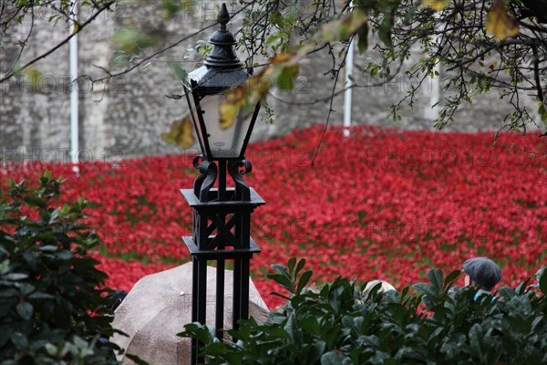 'Blood Swept Lands and Seas of Red', Tower of London, 2014.  Artist: Sheldon Marshall