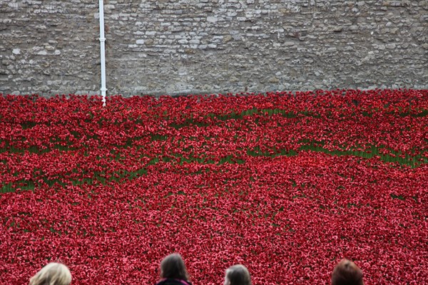 'Blood Swept Lands and Seas of Red', Tower of London, 2014.  Artist: Sheldon Marshall